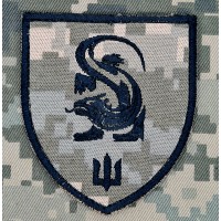 Шеврон 241 навчальний центр морської піхоти піксель