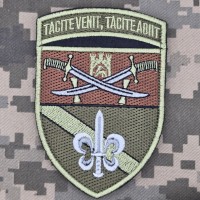Шеврон 53 окремий розвідувальний батальйон 14 АК польовий