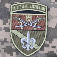 Купить Шеврон 53 окремий розвідувальний батальйон 14 АК польовий в интернет-магазине Каптерка в Киеве и Украине