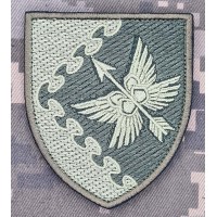 Шеврон 435 батальйон безпілотних систем ПК Захід олива