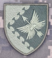 Шеврон 435 батальйон безпілотних систем ПК Захід олива