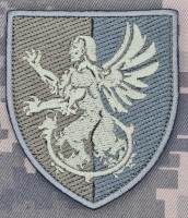 Шеврон 143 Центр забезпечення охорони Держтаємниці морської піхоти олива