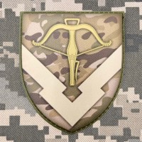 PVC Шеврон 229 об'єднаний центр забезпечення camo