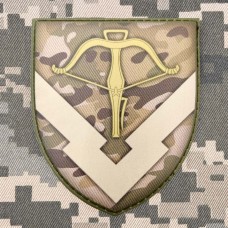 PVC Шеврон 229 об'єднаний центр забезпечення camo