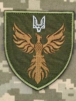 Шеврон вч А4065 олива