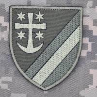 Шеврон 9 розвідувальний батальйон олива