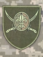 Шеврон 129 ОВМБр олива