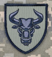 Шеврон 246 окремий батальйон 