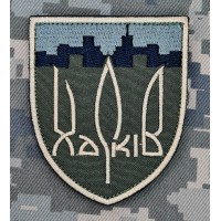 Шеврон 127 окрема важка механізована бригада