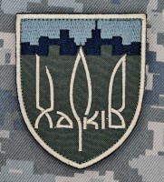 Шеврон 127 окрема важка механізована бригада