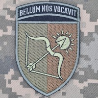 Шеврон 163 ОМБр олива