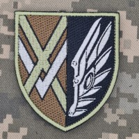 Шеврон 434 окремий батальйон безпілотних систем польовий
