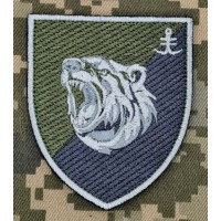 Шеврон 2 батальйон 35 ОБрМП польовий