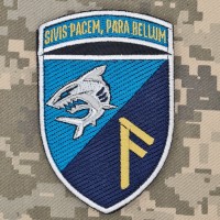 Шеврон 40 ОБрМП група інструкторів