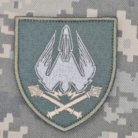 Шеврон Командування Сил Безпілотних Систем ЗСУ олива