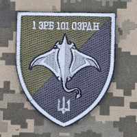 Шеврон 1 ЗРБ 101 ОЗРДН захисний