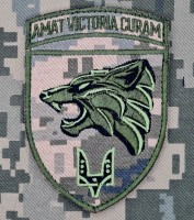 Нарукавний знак 142 НЦ ССО Amat Victoria Curam піксель