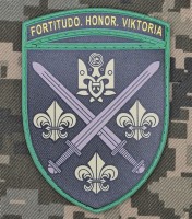 PVC шеврон 155 ОМБр олива