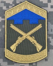 Шеврон 207 Центру підготовки сержантського складу ТРО