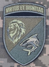 Купить Шеврон 3 батальйон 40 ОБРМП VIRTUS ET DIGNITAS олива в интернет-магазине Каптерка в Киеве и Украине