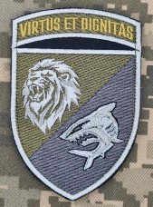 Купить Шеврон 3 батальйон 40 ОБРМП VIRTUS ET DIGNITAS польовий в интернет-магазине Каптерка в Киеве и Украине
