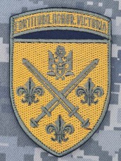 Шеврон 155 ОМБр