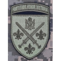 Шеврон 155 ОМБр польовий