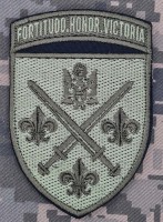 Шеврон 155 ОМБр польовий