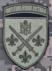 Шеврон 155 ОМБр польовий