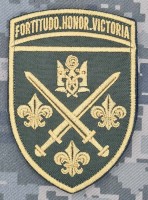 Шеврон 155 ОМБр зелений