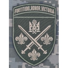 Шеврон 155 ОМБр олива