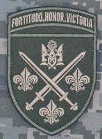 Шеврон 155 ОМБр олива
