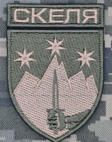 Шеврон 425 Окремий штурмовий полк Скеля польовий