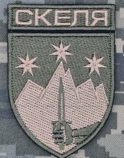 Купить Шеврон 425 Окремий штурмовий полк Скеля польовий в интернет-магазине Каптерка в Киеве и Украине