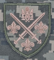 Шеврон 155 ОМБр піксель