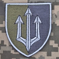 Шеврон 42 ОБрМП польовий