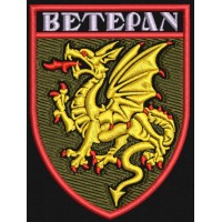 Шеврон Ветеран 107 РеАБр
