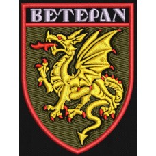 Шеврон Ветеран 107 РеАБр