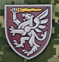 PVC Шеврон 80 ОДШБр 3D
