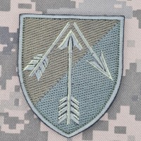 Шеврон 101 Окремий зенітний ракетний дивізіон олива