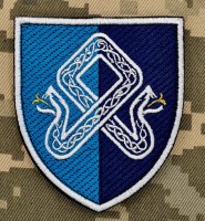 Шеврон 101 Окремий зенітний ракетний дивізіон