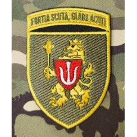 Нарукавний знак 11 Армійський корпус fortia scuta, gladii acuti