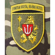 Нарукавний знак 11 Армійський корпус fortia scuta, gladii acuti