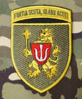 Нарукавний знак 11 Армійський корпус fortia scuta, gladii acuti
