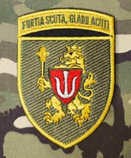 Нарукавний знак 11 Армійський корпус fortia scuta, gladii acuti