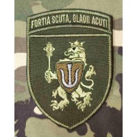 Нарукавний знак 11 Армійський корпус fortia scuta, gladii acuti Олива
