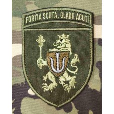 Нарукавний знак 11 Армійський корпус fortia scuta, gladii acuti Олива