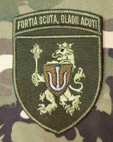 Нарукавний знак 11 Армійський корпус fortia scuta, gladii acuti Олива