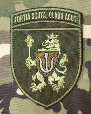 Нарукавний знак 11 Армійський корпус fortia scuta, gladii acuti Олива