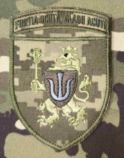 Нарукавний знак 11 Армійський корпус fortia scuta, gladii acuti Піксель